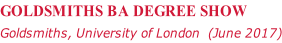GOLDSMITHS BA DEGREE SHOW Goldsmiths, University of London  (June 2017)